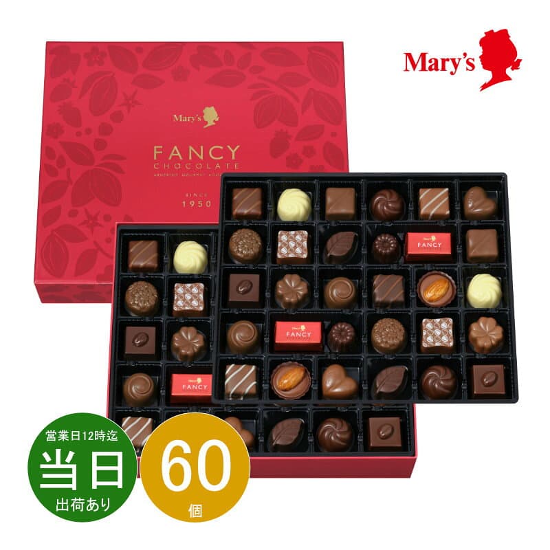 メーカー包装済 お返し 内祝い ギフト 洋菓子 メリー ファンシーチョコレート 0136 新築 お礼 引越し 志 仏事 送料無料 あす楽