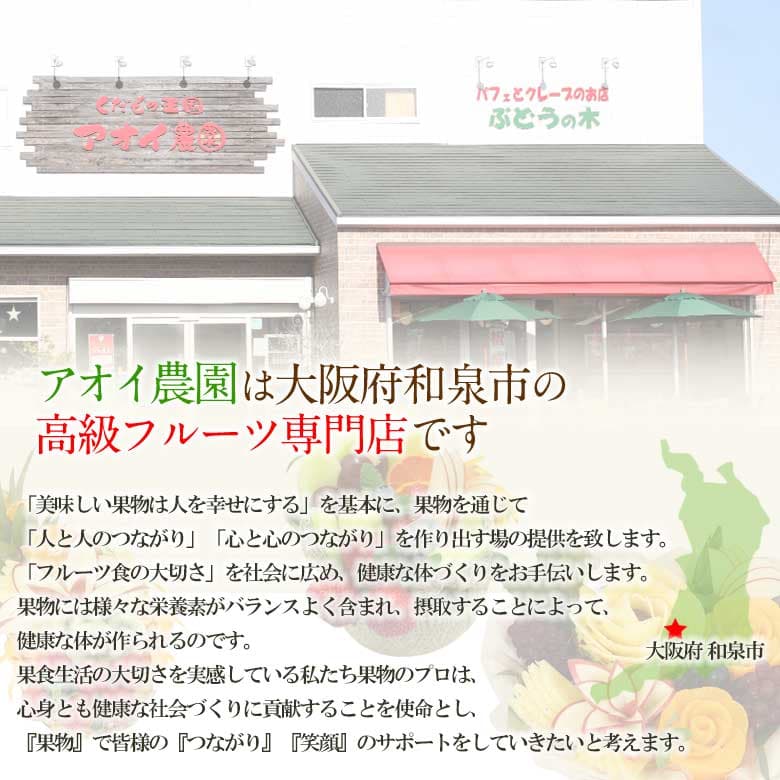 フルーツ ギフト 果物 フルーツ ボックス ブドウ 葡萄【国産 美味 ぶどう 2種 食べ比べ ギフトセット】シャインマスカット 種なし ピオーネ 黒ぶどう 高級 お誕生日 お祝い 内祝い 出産内祝 贈り物 お礼 御見舞 果物 お供え お供え物 thumbnail 2