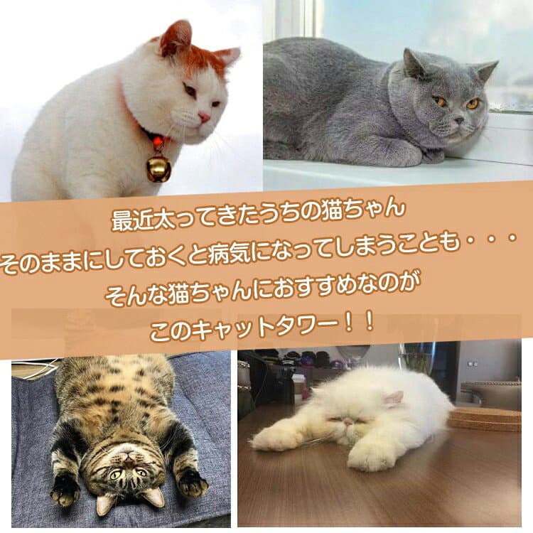 *10%OFFクーポン⇒4,067円〜*【送料無料】キャットタワー キャット コンパクト スリム 猫 おもちゃ ペット用品 家族 据え置き型 大型 爪とぎ 麻紐 省スペース 角置き ハウス 運動不足 ストレス解消 ハンモック 階段 隠れ家 おしゃれ 猫用品 クリスマス プレゼント thumbnail 2