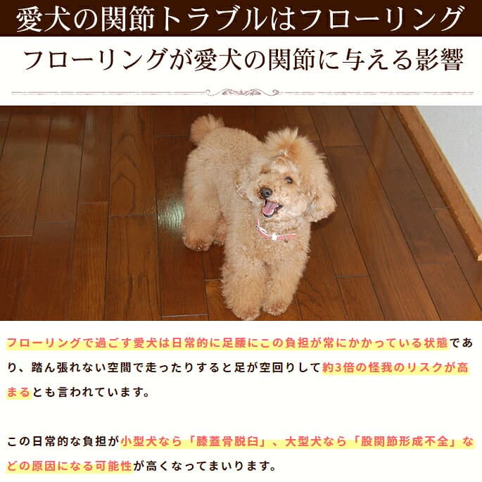 【割引クーポン配布中】おくだけズレない吸着マット 29.5×29.5cm 2色合計36枚 各色18枚セット 吸着マット 防音 タイル 廊下 犬マット 犬用マット 階段 滑り止めマット 傷防止 ペット ペットマット 洗える タイルマット タイルカーペット フローリング ペット用品 thumbnail 2