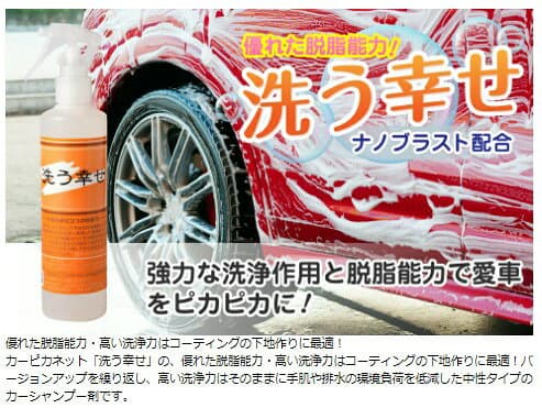 洗う幸せ250ml 脱脂能力 カーコーティング 洗浄能力 水垢 シャンプー洗車 洗車 撥水 シャンプー カーコーティング 手洗い 油汚れ 洗車セット 光沢復元 プロ仕様 メンテナンス 帯電防止成分 全色対応 カーワックス 洗車用品 カーコーティング剤 thumbnail 2