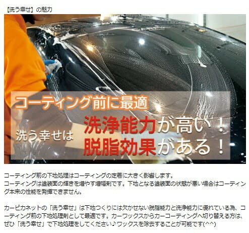 洗う幸せ250ml 脱脂能力 カーコーティング 洗浄能力 水垢 シャンプー洗車 洗車 撥水 シャンプー カーコーティング 手洗い 油汚れ 洗車セット 光沢復元 プロ仕様 メンテナンス 帯電防止成分 全色対応 カーワックス 洗車用品 カーコーティング剤 thumbnail 3