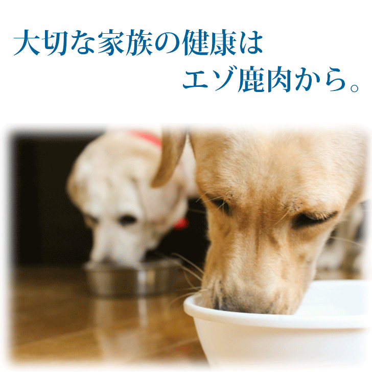 無添加ドッグフード【エゾ鹿無添加ドッグフード サツマイモベース お試し80g】犬用 サンプル ドッグ いぬ ペット フード ご飯 餌 エゾ鹿肉 エゾシカ 鹿肉 シカ肉 シカニク アレルギー対策 無添加 無着色 低アレルゲン 国産 国内生産 北海道産 日本製 安心安全 手作りフード thumbnail 2