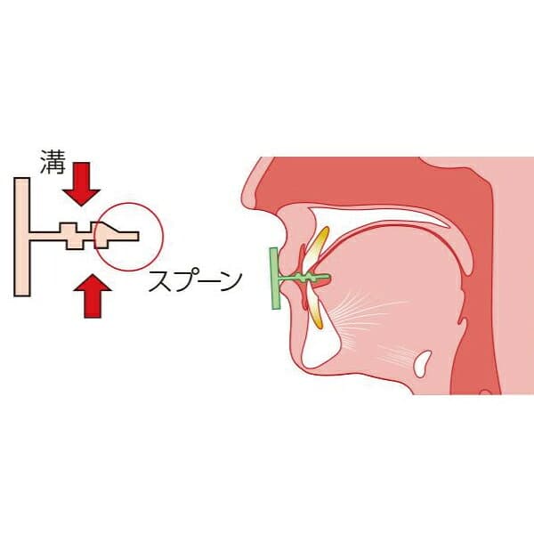 【★エントリーでポイント5倍 10/24 20:00-10/27 9:59】タッチスティック（正常咬合用）2個入 ライトグリーン/大・グリーン/小 各1個 thumbnail 2