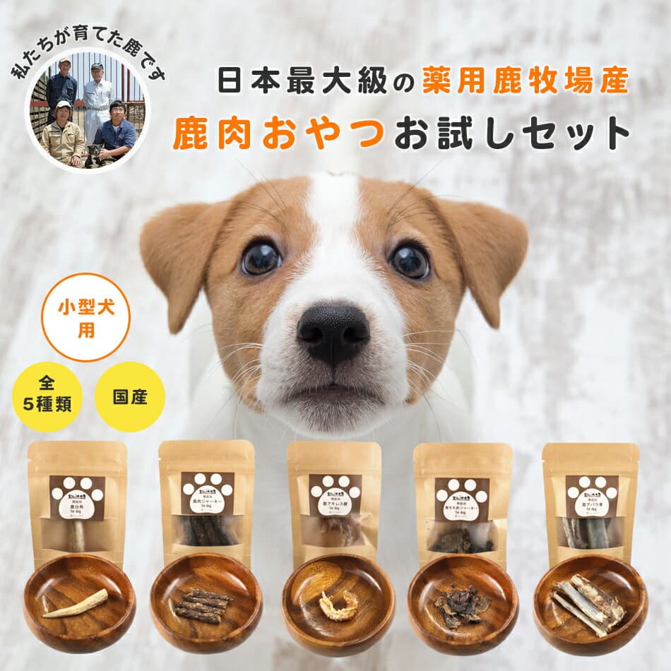 【楽天1位】★雲仙鹿牧場産★ペットフード 小型犬 トライアル セット 鹿肉 鹿 鹿の角 鹿角 犬 無添加 国産 ペット おやつ おもちゃ ジャーキー ガム カルシウム 鉄分 アキレス腱 歯磨き 鹿茸 ストレス 【ペット】 【SS】