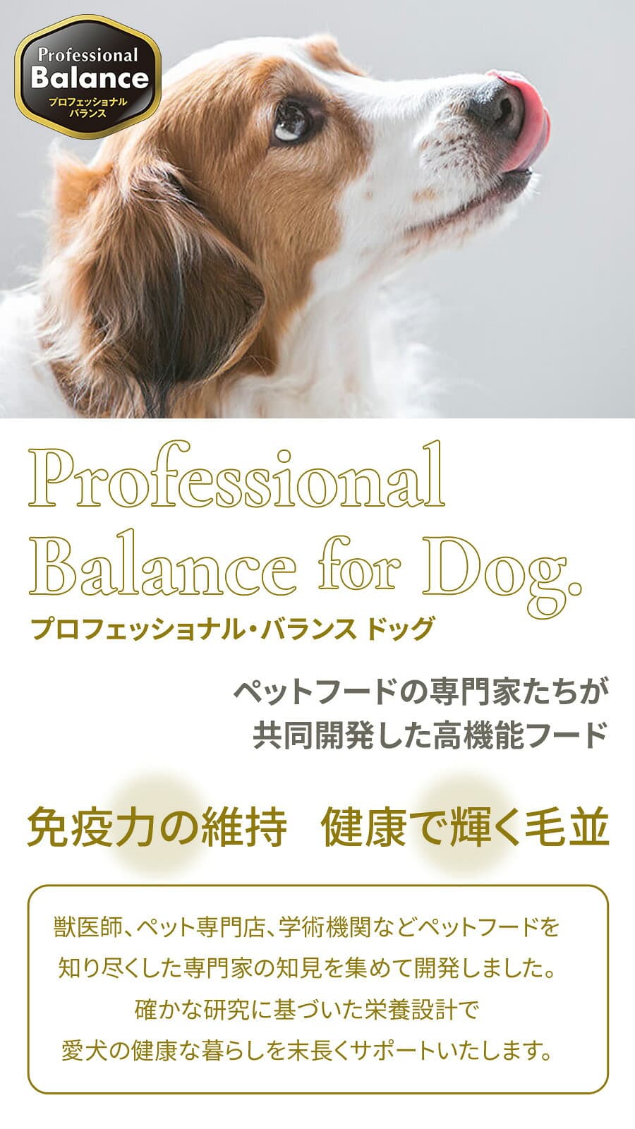 【要エントリー!10/31まで最大10万ポイント当たる】プロフェッショナルバランス 1歳から体重管理用6kg（500g×12）ドッグフード 成犬 ライト 犬 アダルト 低カロリー ダイエット ドックフード プロフェッショナル・バランス ペットフード 分包 小分け【D】 thumbnail 3