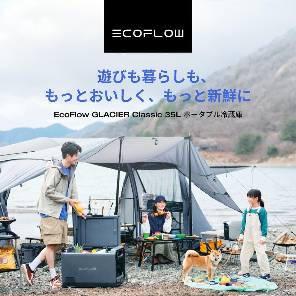 【クーポン利用で92,522円 10/20~】GLACIER Classic 35L ポータブル冷蔵庫 + 専用バッテリーパック セット 大容量 冷凍 車載冷蔵庫 冷凍庫 クーラーボックス 車中泊 キャンプ 暑さ対策 熱中症 アウトドア 釣り 停電 防災対策 静音 thumbnail 3