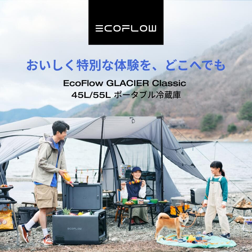 【クーポン利用で114,984円 10/20~】GLACIER Classic 45L 55L ポータブル冷蔵庫 + 専用バッテリーパック セット 大容量 冷凍 車載冷蔵庫 冷凍庫 クーラーボックス 車中泊 キャンプ 暑さ対策 熱中症 アウトドア 釣り 停電 防災対策 静音 thumbnail 3