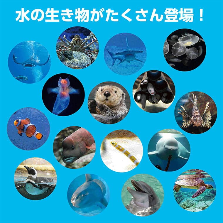 わくわくすいぞくかんすごろく 1個入 / ボードゲーム すごろく ゲーム 水族館 海の生き物 魚 イルカ ラッコ テーブルゲーム 子ども 幼児 幼稚園 保育園 小学生 お正月 ホビー 玩具 おもちゃ オモチャ 景品 イベント 室内遊び アーテック artec 【ゆうパケット対応】 thumbnail 3