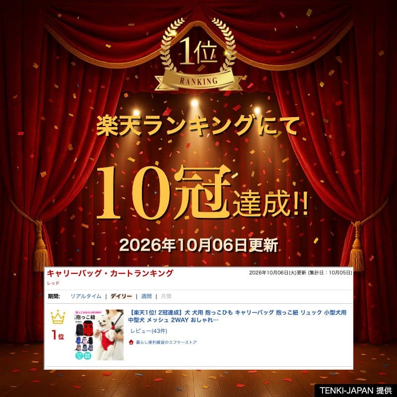 【楽天1位! 2冠達成】犬 犬用 抱っこひも キャリーバッグ 抱っこ紐 リュック 小型犬用 中型犬 メッシュ 2WAY おしゃれ かわいい ポータブル ファスナー マジックテープ 前 おんぶ 犬用品 犬の抱っこひも thumbnail 2