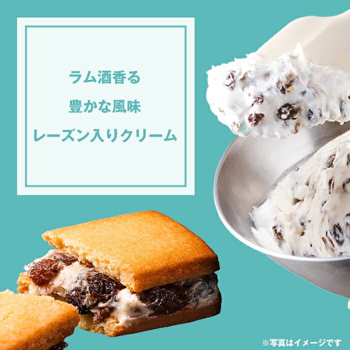 秋ギフト / クリームサンド 12個入/ レーズンサンド 御中元　 内祝 御礼 御祝 返礼 御挨拶　焼き菓子 菓子折り 粗品 ギフト お菓子 洋菓子 スイーツ 個包装 詰め合わせ あす楽 送料無料 thumbnail 3