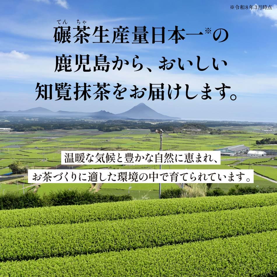 【20％OFF】 [抹茶 粉末 パウダー 国産] おてがる 知覧抹茶 100g×2本 メール便 送料無料 [ 抹茶ラテ 鹿児島 知覧茶 薄茶 濃茶 ティーラテ お菓子作り スイーツ アレンジ お中元 ギフト 抹茶粉 抹茶スイーツ 抹茶パウダー かごしま 料理 sale1024 RSL] thumbnail 2
