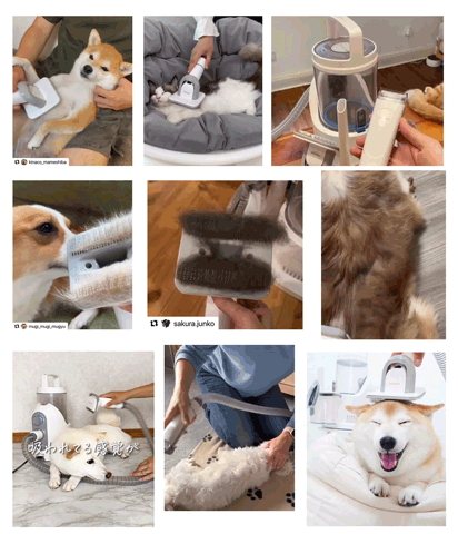 ＼5000円OFFクーポン＋特典／当日発送 2L大容　Neakasa P2 Pro ペット用バリカン ペットバリカン 犬用バリカン 犬 掃除機 中大型犬 吸引 ペット グルーミング掃除機 ペット用品 トリミング 犬猫 掃除機 抜け毛取り 切れ味抜群 2年保証 thumbnail 3