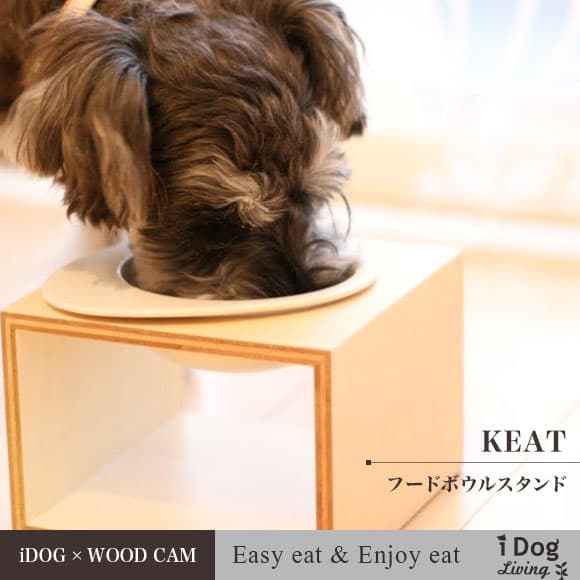 【2点以上5％OFFクーポン対象】【 犬 猫 食器台 】iDog Living Keatキートスクエア1 Lサイズ フードボウル別売【 犬の食器台 フードボウルスタンド 食器スタンド テーブル 食器 木製 国産 安全 超小型犬 小型犬 犬用 猫用 icat idog 犬用品 楽天市場】 thumbnail 2