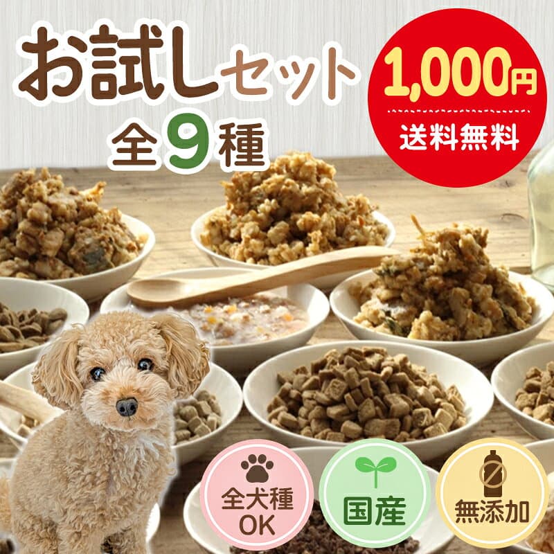 【初回限定 1,000円ポッキリ】ドッグフード お試しフルセット ドライフード＆レトルトフード7種9点入り 送料無料 食べ比べ |ドッグフード 国産 無添加 お試し サンプル セット 犬 ペットフード 全年齢対応 全犬種対応 ドライ シニア 幼犬 子犬 パピー 小型 成犬