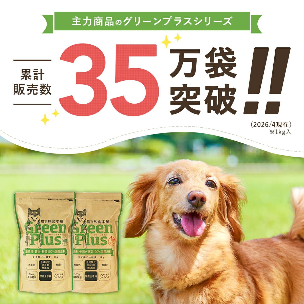 【初回限定 1,000円ポッキリ】ドッグフード お試しフルセット ドライフード＆レトルトフード7種9点入り 送料無料 食べ比べ |ドッグフード 国産 無添加 お試し サンプル セット 犬 ペットフード 全年齢対応 全犬種対応 ドライ シニア 幼犬 子犬 パピー 小型 成犬 thumbnail 2