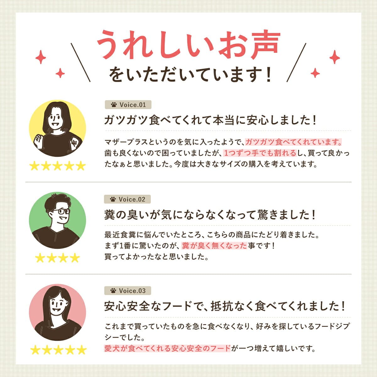 【初回限定 1,000円ポッキリ】ドッグフード お試しフルセット ドライフード＆レトルトフード7種9点入り 送料無料 食べ比べ |ドッグフード 国産 無添加 お試し サンプル セット 犬 ペットフード 全年齢対応 全犬種対応 ドライ シニア 幼犬 子犬 パピー 小型 成犬 thumbnail 3