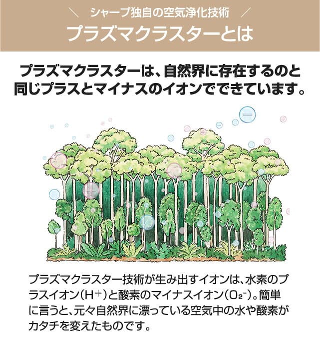 【商品3年・工事10年保証】 【標準工事費込】 福袋 エアコン プラズマクラスター搭載モデル 冷暖房：6畳 2025年以降モデル シャープ限定 ジュプロ印 【600円OFFクーポン有★2026/10/30迄】 thumbnail 3