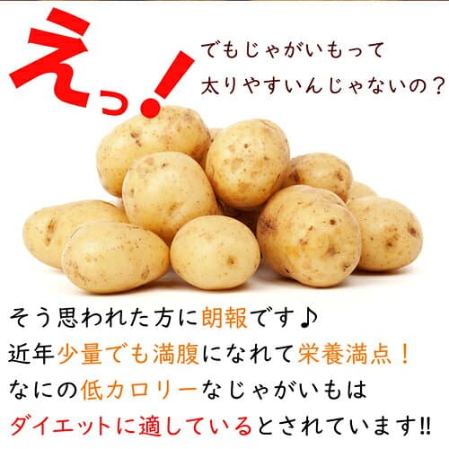 【おまけ付】 じゃがいも こんにゃくチップ ダイエット こんにゃく せんべい 置き換え ダイエット こんにゃくチップ 低カロリー 低GI 食物繊維 ダイエット ポテトチップ ポテト ヘルシー マンナン せんべい じゃがいも 煎餅 置き換 thumbnail 3