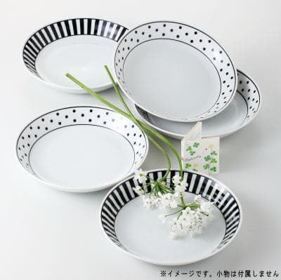 お皿 セット NOVA パスタ＆カレーセット 5枚組 【日本製/食器/電子レンジ対応/食洗機対応/パスタ皿/カレー皿/スープ皿/丸皿/陶器/美濃焼/洋食器/北欧/おしゃれ/かわいい/食器セット/プレゼント/新生活/お祝い/結婚祝い/内祝い/xc/ギフト/贈り物 即発対応