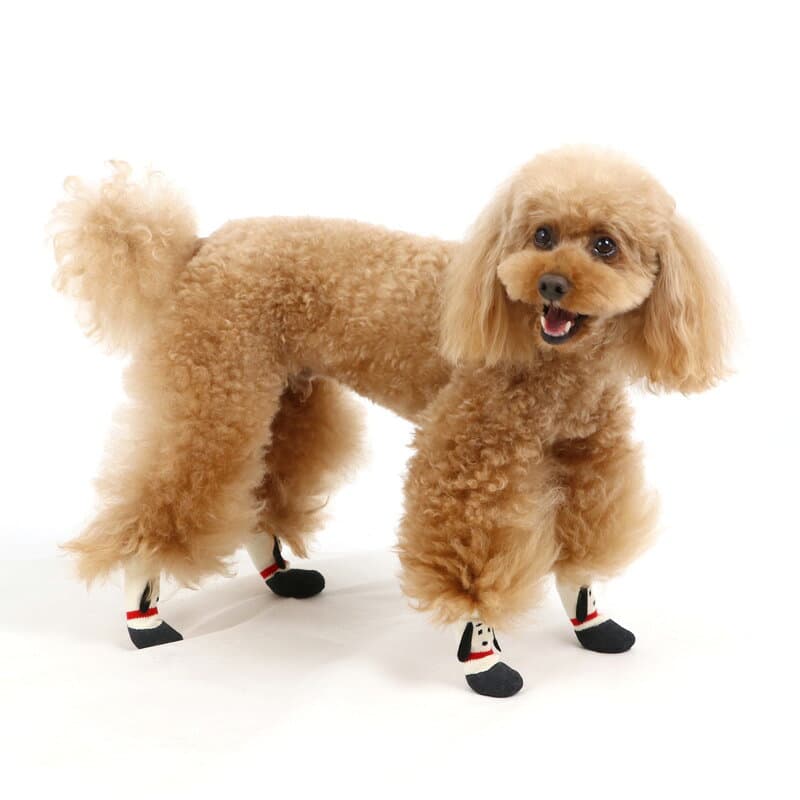 【最大2000円OFFクーポン+P5倍】スヌーピー 犬 靴 靴下 小型犬 中型犬 フィットシューズ | ランキング1位 犬用 お出かけ お散歩 外用外靴 滑り止め 滑りにくいゴム加工 ドッグブーツ ドッグシューズ 柔らか 肉球保護 肉球を守る 足元の汚れ 防止 災害 避難 thumbnail 3