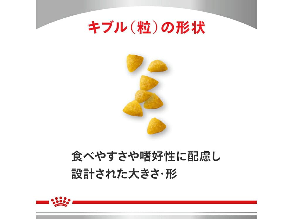 ロイヤルカナン 療法食 犬用 スキンケア パピー 小型犬用S 1kg thumbnail 2