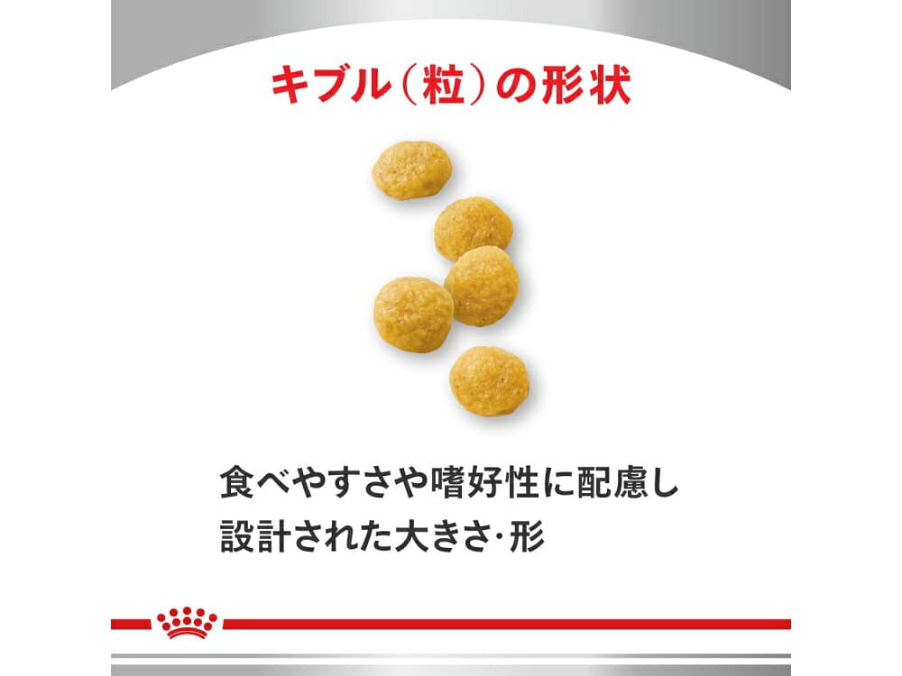 ロイヤルカナン 犬用 療法食 スキンケア小型犬用S 3kg thumbnail 2