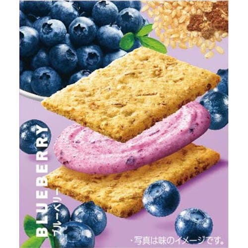 クリーム玄米ブラン ブルーベリー(4枚入×24袋セット)【クリーム玄米ブラン】[ブラン asahi 栄養 ダイエット 健康 プロテイン 鉄] thumbnail 2