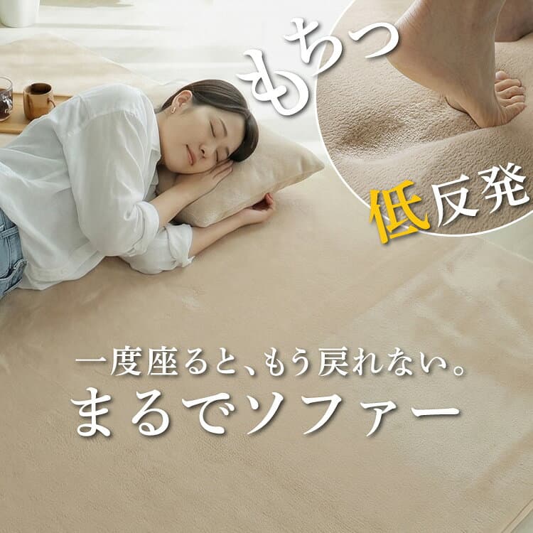 【先着半額クーポン★24日20時~】 楽天1位 ラグ ラグマット はっ水 洗える カーペット 低反発 厚手 極厚 オールシーズン ラグカーペット 絨毯 ペット 小さめ 大きめ 北欧 オシャレ リビング 冬用 冬ラグ ふかふか ホリデープラス1畳 2畳 thumbnail 2