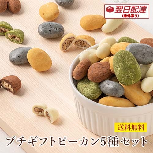 ハロウィン 翌日発送(条件あり) スイーツ プレゼント 食品 送料無料/ WEB限定2パターンから選ぶチョコレートプチギフト 5種セット 詰め合わせ 贈り物 洋菓子 手土産 個包装 ピーカンナッツ お配り