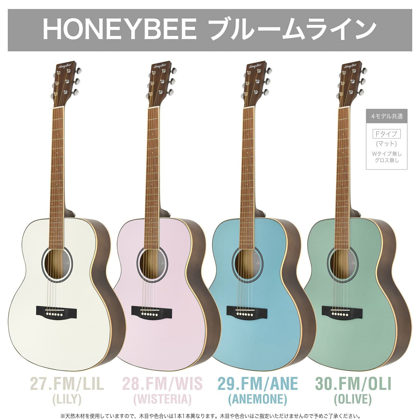 アコースティックギター HONEY BEE W-15/F-15 アコギ リミテッドセット 【 初心者 入門セット W15 F15 プレゼントにおすすめ 】【大型荷物】【5と0のつく日は当店ポイント5倍！】 thumbnail 3