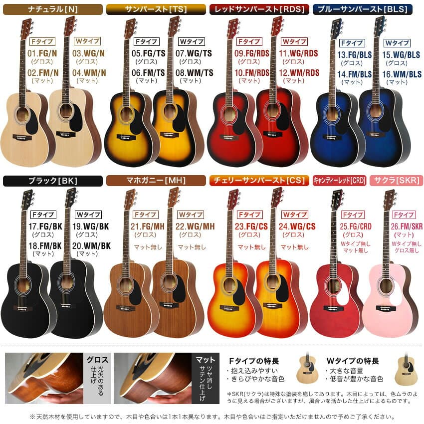アコースティックギター HONEY BEE W-15/F-15 アコギ リミテッドセット 【 初心者 入門セット W15 F15 プレゼントにおすすめ 】【大型荷物】【5と0のつく日は当店ポイント5倍！】 thumbnail 2