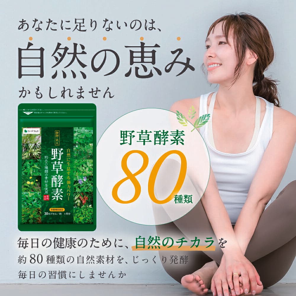 【タイムセールで1598円/1ヶ月あたり266円★10/24 20:00~10/27 09:59】野草酵素≪約6ヶ月分≫ ダイエット エンザイム 酵素サプリ 酵素 カプセル 野菜 野草 果物 発酵 熟成 ダイエットサプリ　送料無料 サプリ サプリメント 酵素 野草酵素 野草 健康食品 thumbnail 2