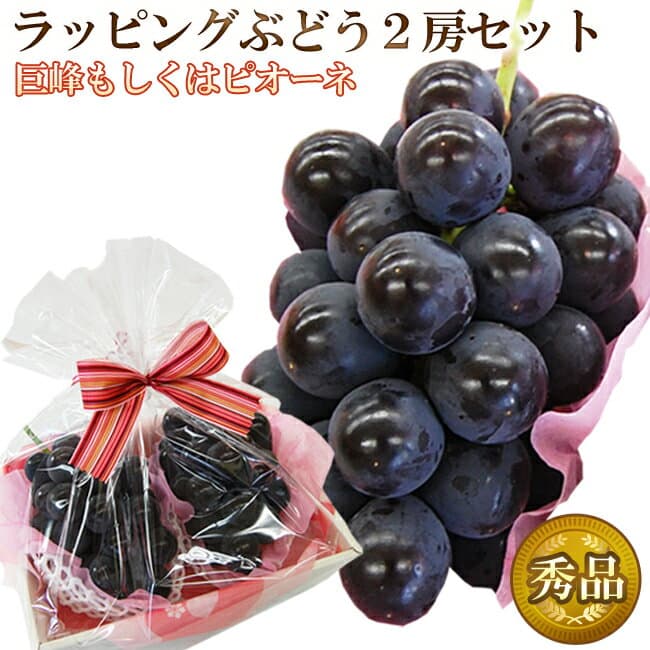 【 あす楽 即日発送 】 ギフト 種無し 巨峰 または ピオーネ ぶどう 2房 セット 秀品 合計800-1,000g 詰め合わせ プレゼント お彼岸 高級 フルーツ 内祝 お祝 お礼 お見舞 誕生日 敬老の日 ブドウ 贈り物 果物 クール便 送料無料