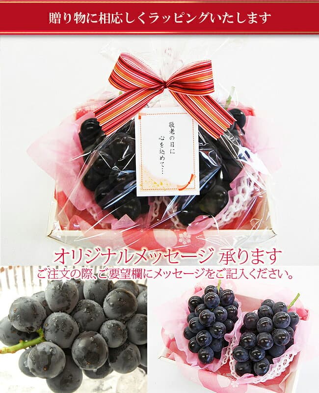 【 あす楽 即日発送 】 ギフト 種無し 巨峰 または ピオーネ ぶどう 2房 セット 秀品 合計800-1,000g 詰め合わせ プレゼント お彼岸 高級 フルーツ 内祝 お祝 お礼 お見舞 誕生日 敬老の日 ブドウ 贈り物 果物 クール便 送料無料 thumbnail 2