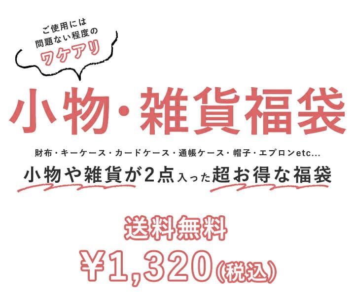 【90%offクーポン】【訳あり】福袋 2026 小物 雑貨2点セット セール わけあり 福袋 レディース メンズ ハッピーバッグ ラッキーバッグ 財布 長財布 キーケース 名刺入れ カードケース ポイントカード IDカードケース 本革 フェイクレザー スタイルオンバック thumbnail 2