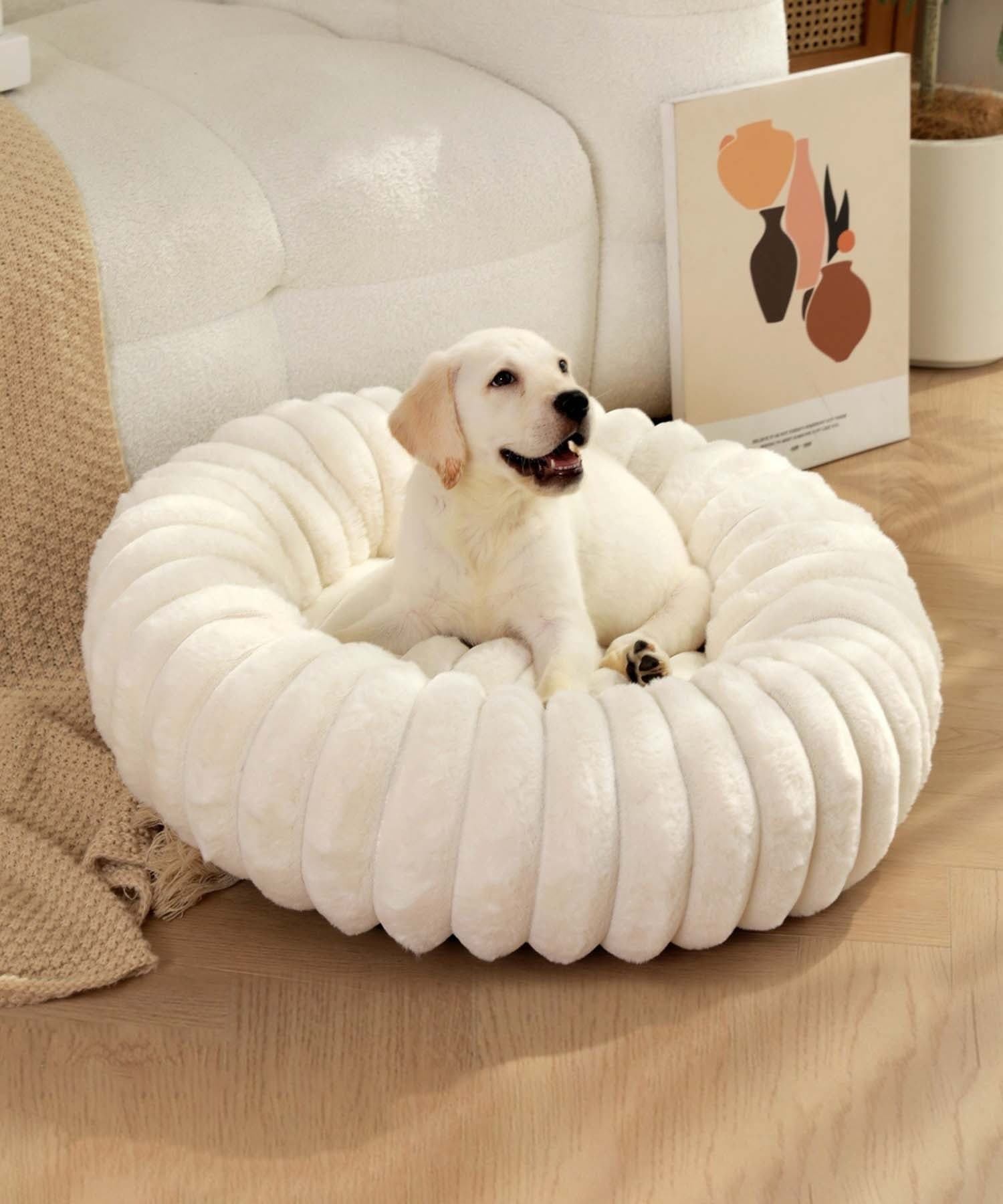 【SALE／15%OFF】aimoha home aimoha home/ラウンド型ペットベッド アイモハ ペット用品 その他のペット用品 グレー ホワイト thumbnail 2