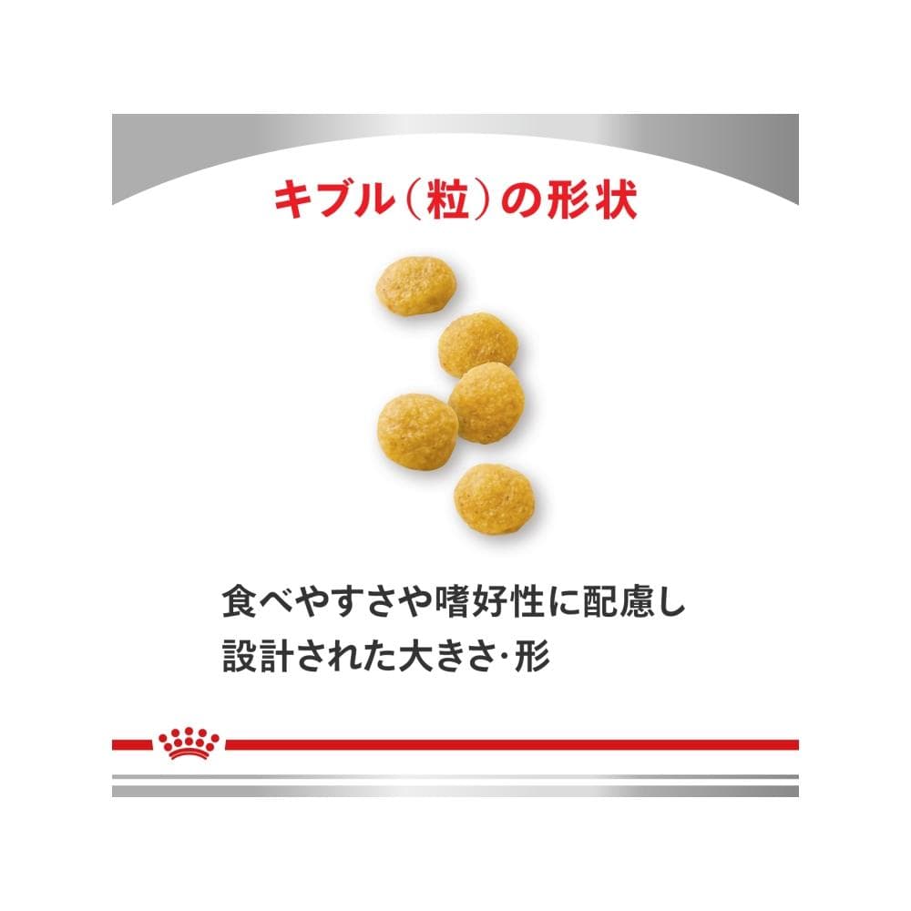 犬用 スキンケア 小型犬用S 3kgx1【ロイヤルカナン食事療法食】 ※ 「認証はこちら」からカートに入れてください thumbnail 2