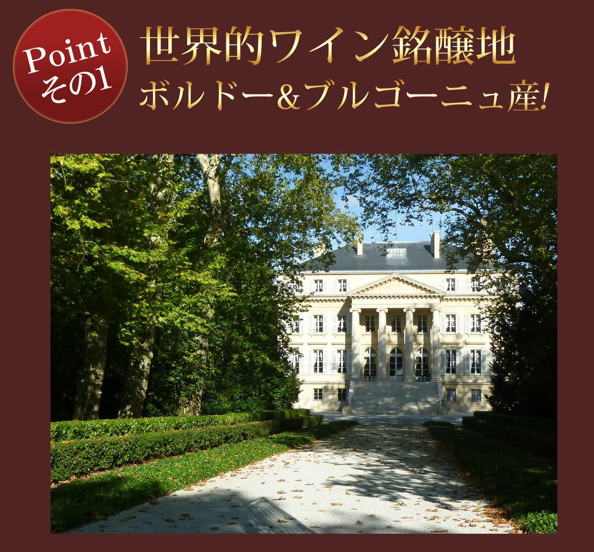 【送料無料】 ワインセット ワイン ギフトBOX付き 一流ワイナリーで揃えたボルドー・ブルゴーニュ産 赤 白 2本 11550円 ギフト ソムリエ厳選 御祝 プレゼント 結婚祝い 退職祝い 送別 沖縄・離島は別料金加算 第13弾 thumbnail 3