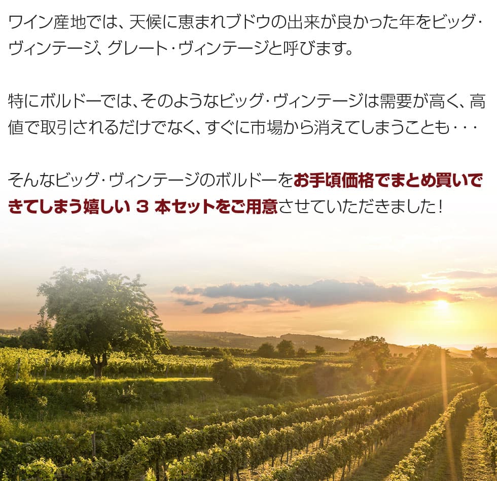 【送料無料】ワインセット 2015年 2016年 ボルドー 当り年 3本セット ギフト プレゼント 赤ワイン ビッグ・ヴィンテージ ソムリエ厳選 御祝 誕生日 送別 記念日 第103弾 thumbnail 3