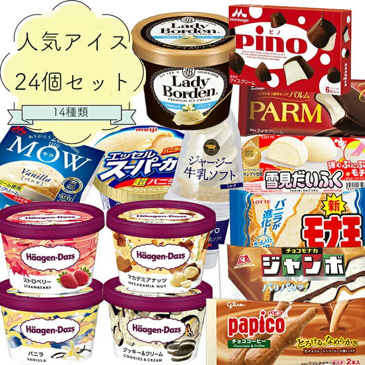 アイスクリーム アイス 人気アイスクリーム24個詰め合わせ ハーゲンダッツ ボーデン 雪見だいふくピノ パルム パピコ