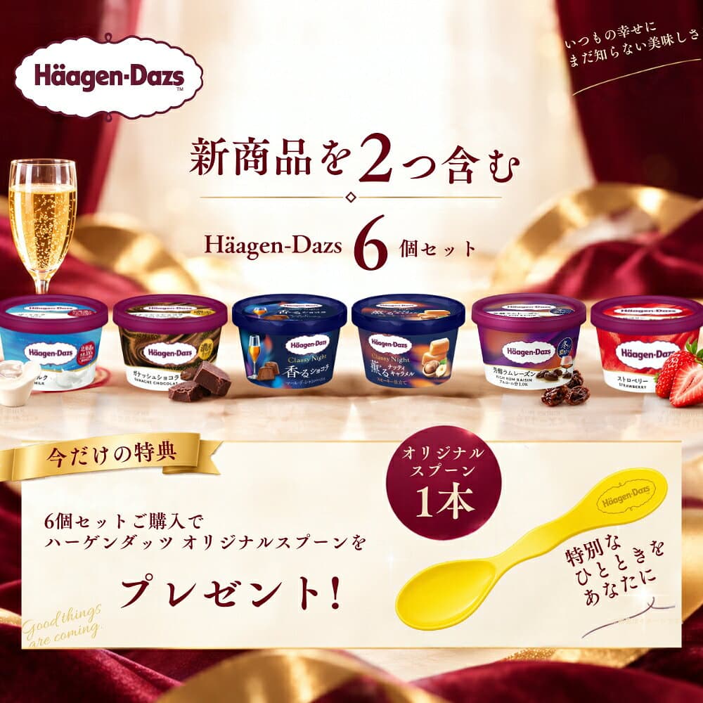 ハーゲンダッツ 新商品 お試しセット Classy Night 2種入り 特別な6個セット クラッシーナイト Haagen-Dazs thumbnail 3
