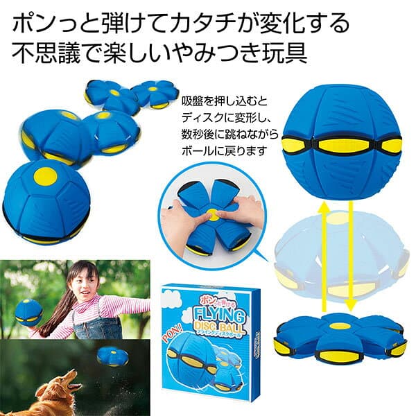 フライングディスクボール{ スポーツ玩具 フリスビー ボール 外遊び 玩具 おもちゃ }{ ギフト 誕生日 }{ 子ども会 施設 }[ 子供会 保育園 幼稚園 景品 イベント お祭り プレゼント 人気 ]【色柄指定不可】【不良対応不可】 thumbnail 2
