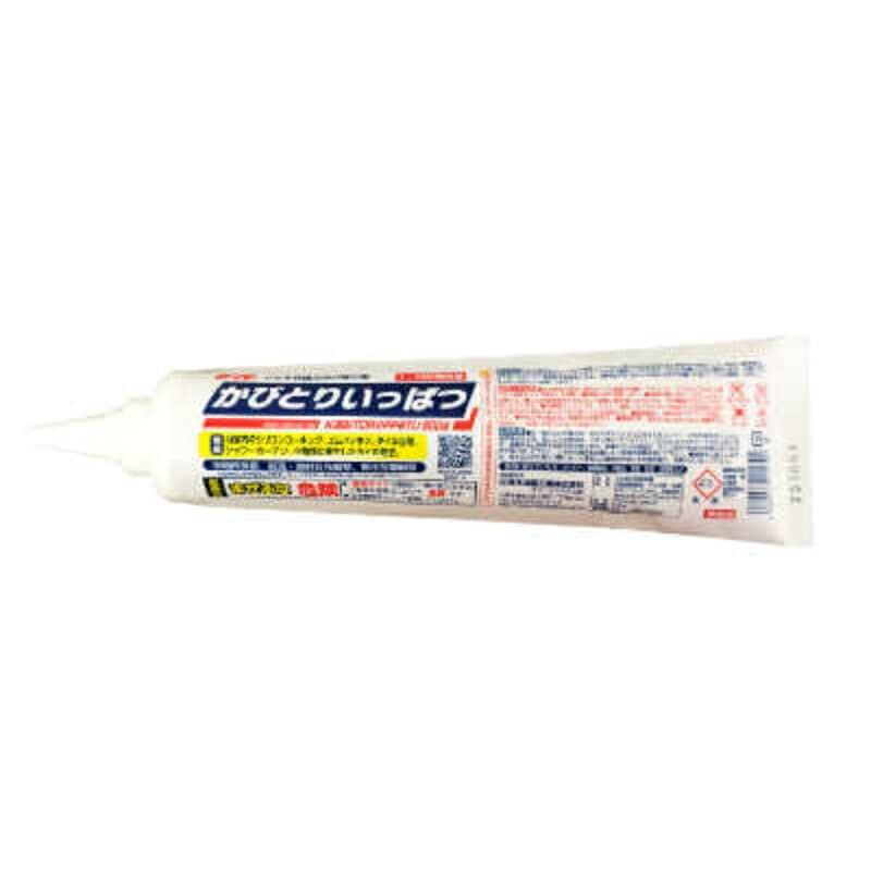【マラソン限定クーポン配布中】かびとりいっぱつ（カビとり一発） 500g [鈴木油脂工業]