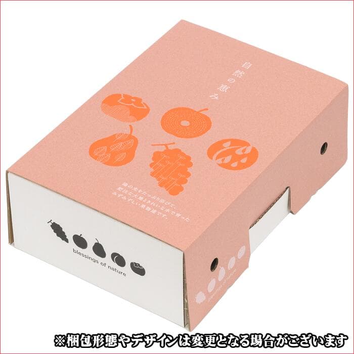 【順次出荷中！】山形県産 洋梨 ラ・フランス 2kg(秀品/中玉/6〜9玉入り)※日時指定はメールで※【西洋梨 ラフランス ギフト 贈り物 贈答 お祝 お礼 内祝い 出産祝い プレゼント 御歳暮 お歳暮ギフト 冬ギフト 果物 フルーツ 山形県】 thumbnail 3