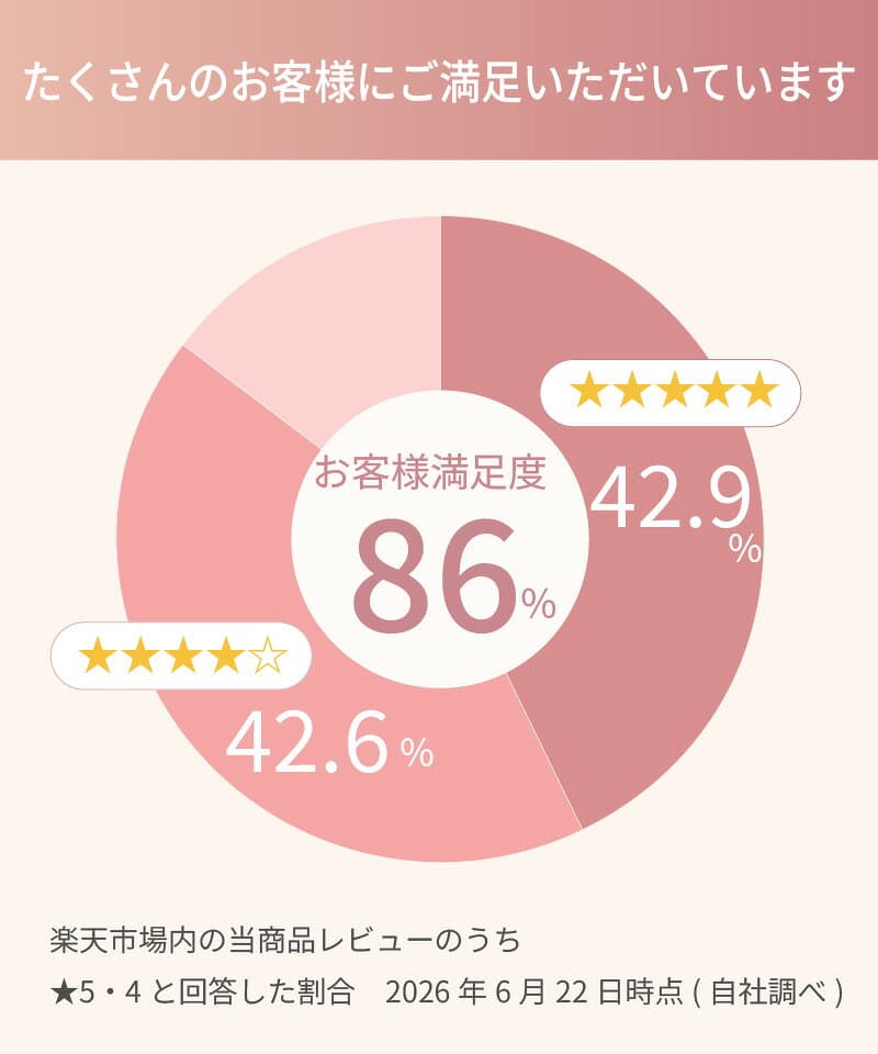 【補正下着メーカーが本気で作ったブライダルインナーセット】【送料無料・交換無料】ブライダルインナー 補正下着 4点セット 背中開き ドレスインナー ビスチェ 結婚式 フォト婚 海外ウエディング ドレス用下着 ウエディングインナー [M便 5/7] thumbnail 3