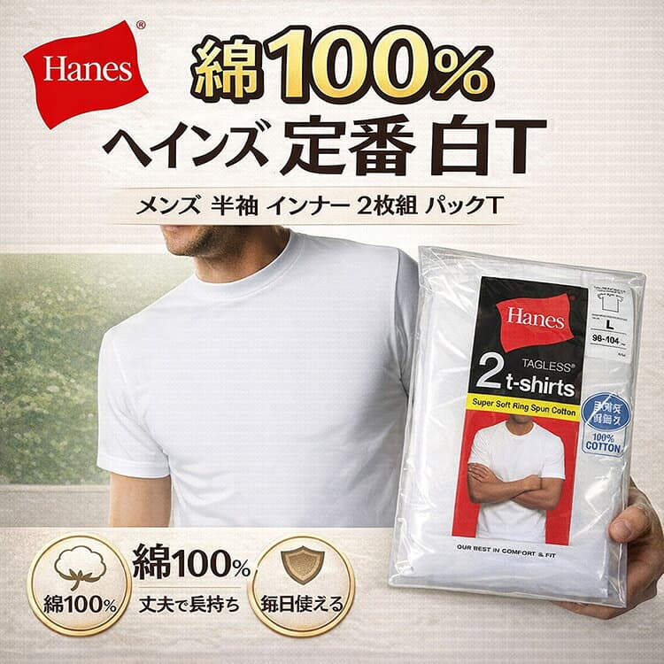 ヘインズ Tシャツ メンズ 2枚組 Hanes 綿100％ 半袖 白 パックT 無地 インナー 肌着 下着 アンダーウエア 定番 人気 ブランド コットン 丈夫 洗濯強い 部屋着 普段使い メンズインナー ビジネス カジュアル フォーマル インナーシャツ 1000円ポッキリ 送料無料 丸首 Vネック