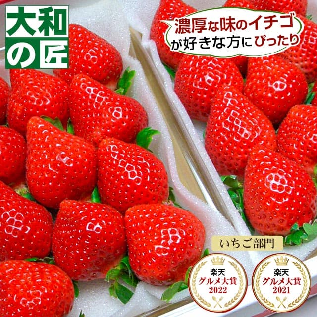 【11月末以降予定★】 福岡県産 博多あまおう [DX2パック入り箱]【売れ筋】 フルーツ 果物 あまおう イチゴ いちご 苺 DX デラックス お歳暮 御歳暮 歳暮
