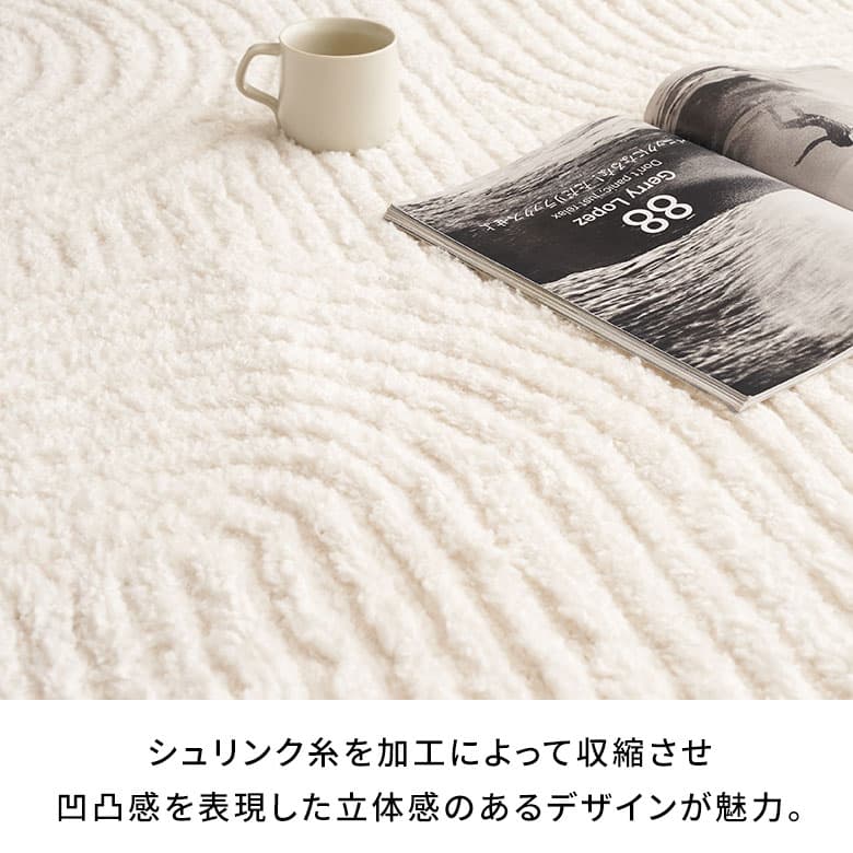 【最大500円クーポン】_ ラグ ウィルトン織 130×190 200×250 3畳 床暖房・ホットカーペット対応 オールシーズン ソファ下にも リビング 西海岸インテリア [eg84337] thumbnail 3